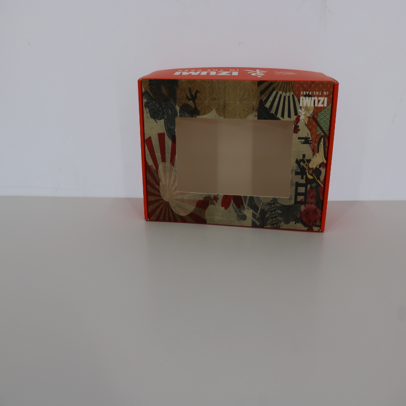 Sushi Plane Box