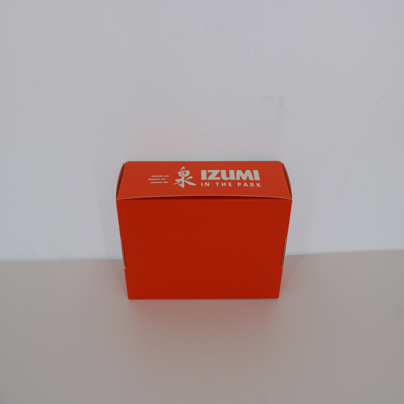 Sushi Plane Box